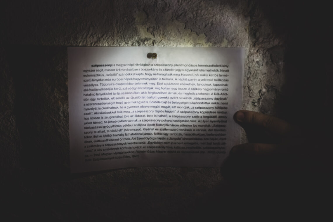 szöveg zseblámpa fénynél blogcikk